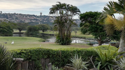 Nature, Ball Game, Sport, Golfing, Palm Tree, Plant, Wood, Garden, Bluff National Park Golf Club, Van Riebeeckpark, Bluff, 4052