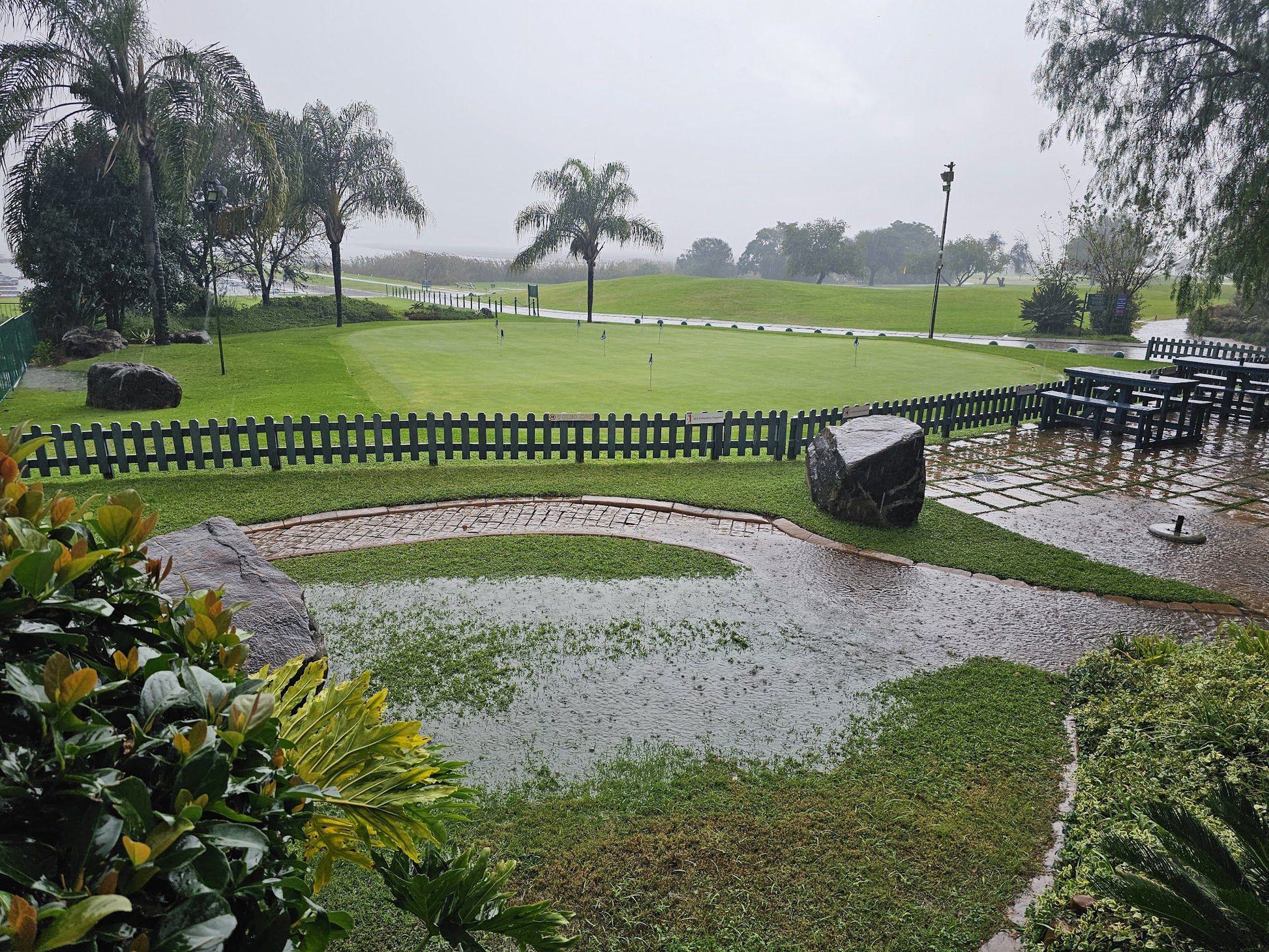 Nature, Ball Game, Sport, Golfing, Palm Tree, Plant, Wood, Garden, Rain, Sandy Lane Golf Club, 7 Simon Bekker Ave, Kosmos, Hartbeespoort, 0261