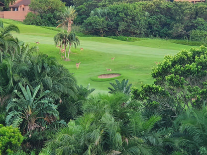 Nature, Ball Game, Sport, Golfing, Palm Tree, Plant, Wood, Garden, San Lameer Estate, Unnamed Road, Sanlameer, Southbroom