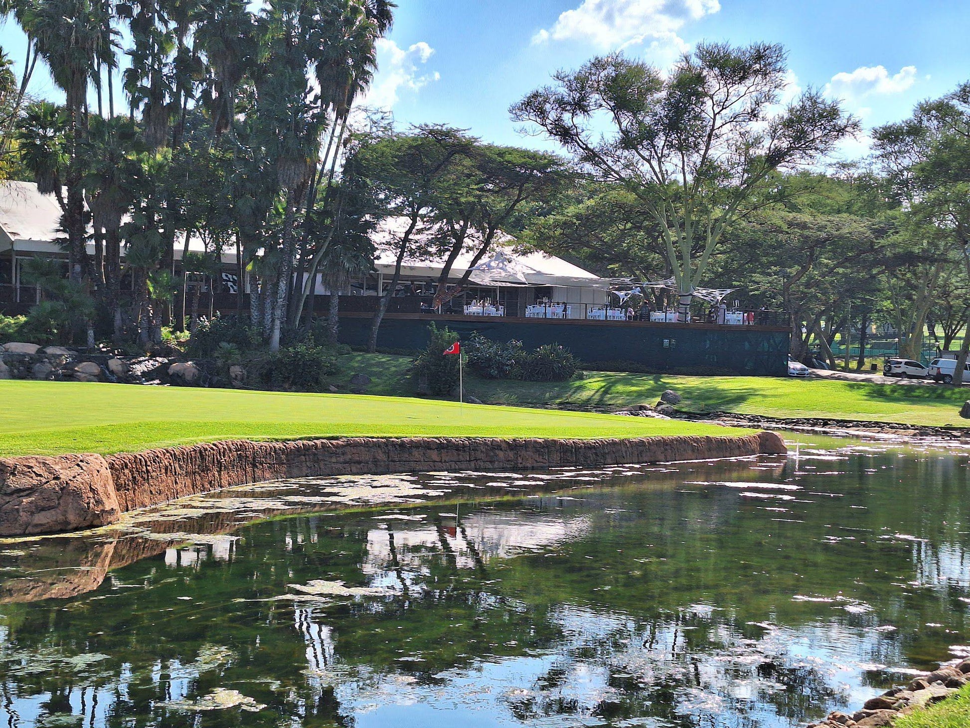 Nature, Ball Game, Sport, Golfing, Palm Tree, Plant, Wood, Garden, Swimming Pool, The Gary Player Golf Course and Country Club, Sun City Resort, Sun City, 0316