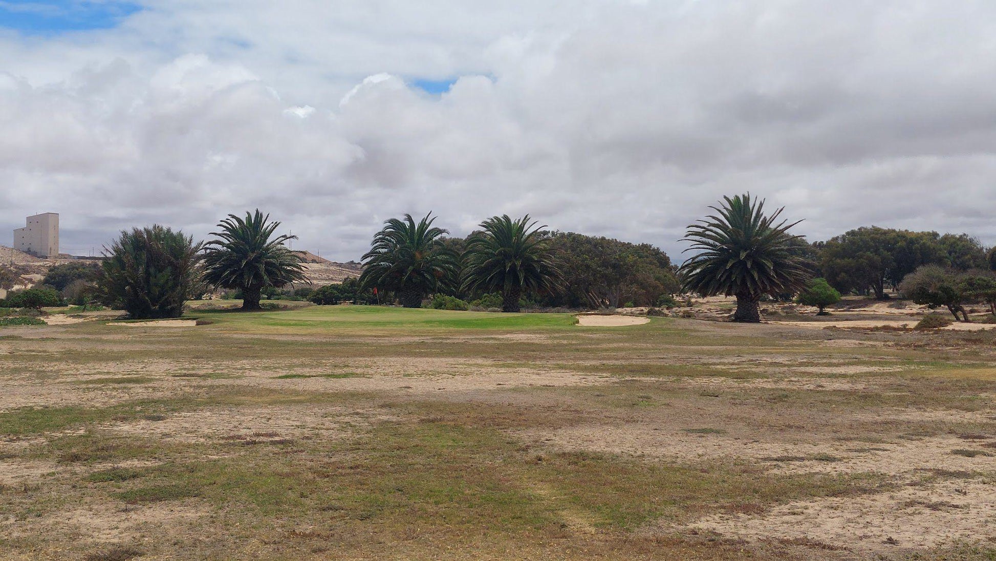 Nature, Ball Game, Sport, Golfing, Palm Tree, Plant, Wood, Kleinzee Golf Club, 59 Church St, Kleinsee, 8282