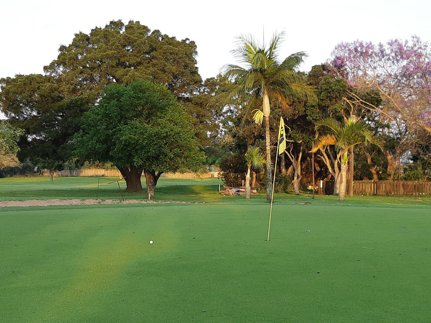 Nature, Ball Game, Sport, Golfing, Palm Tree, Plant, Wood, Kwambonambi Golf Club, S28 35.981 E32 04.731