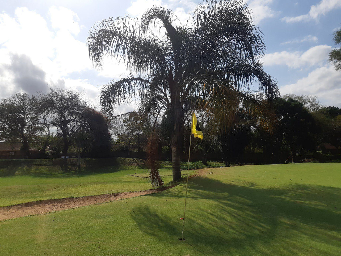 Nature, Ball Game, Sport, Golfing, Palm Tree, Plant, Wood, Kwambonambi Golf Club, S28 35.981 E32 04.731