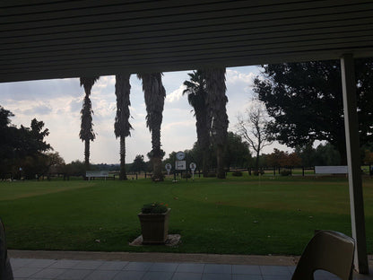 Nature, Ball Game, Sport, Golfing, Palm Tree, Plant, Wood, Oppenheimer Park Golf Club, 3 Harry Oppenheimer Street, Welkom Mines, Welkom, 9459