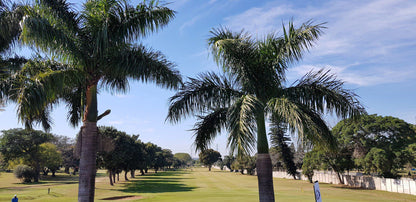 Nature, Ball Game, Sport, Golfing, Palm Tree, Plant, Wood, Papwa Sewgolum Golf Course, 256 New Germany Rd, Recreation, Durban, 4090