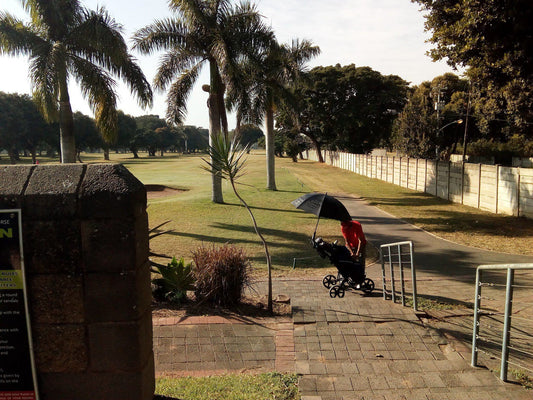 Nature, Ball Game, Sport, Golfing, Palm Tree, Plant, Wood, Papwa Sewgolum Golf Course, 256 New Germany Rd, Recreation, Durban, 4090