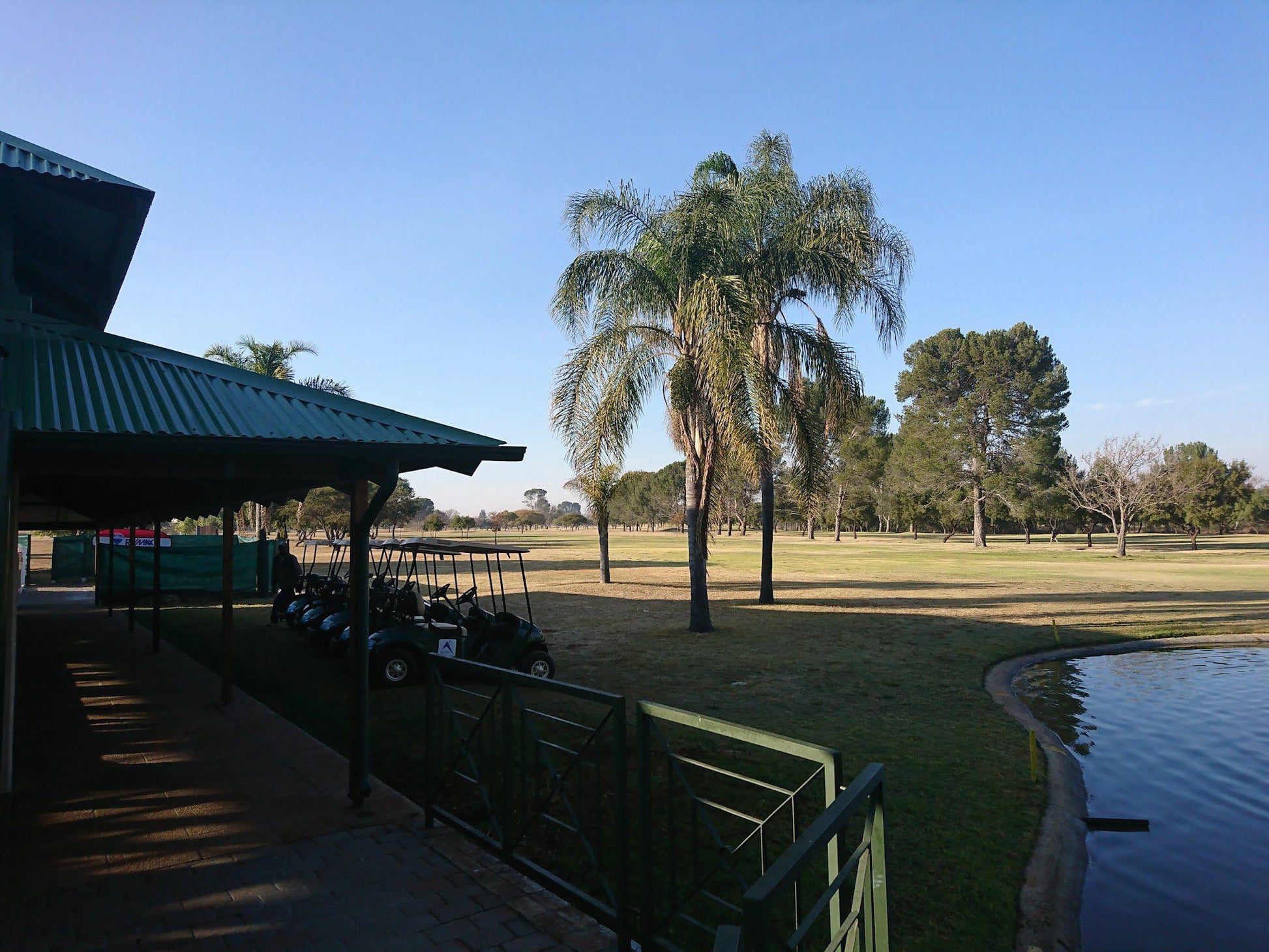 Nature, Ball Game, Sport, Golfing, Palm Tree, Plant, Wood, Polokwane Golf Club, Voortrekker St, Polokwane, 0700