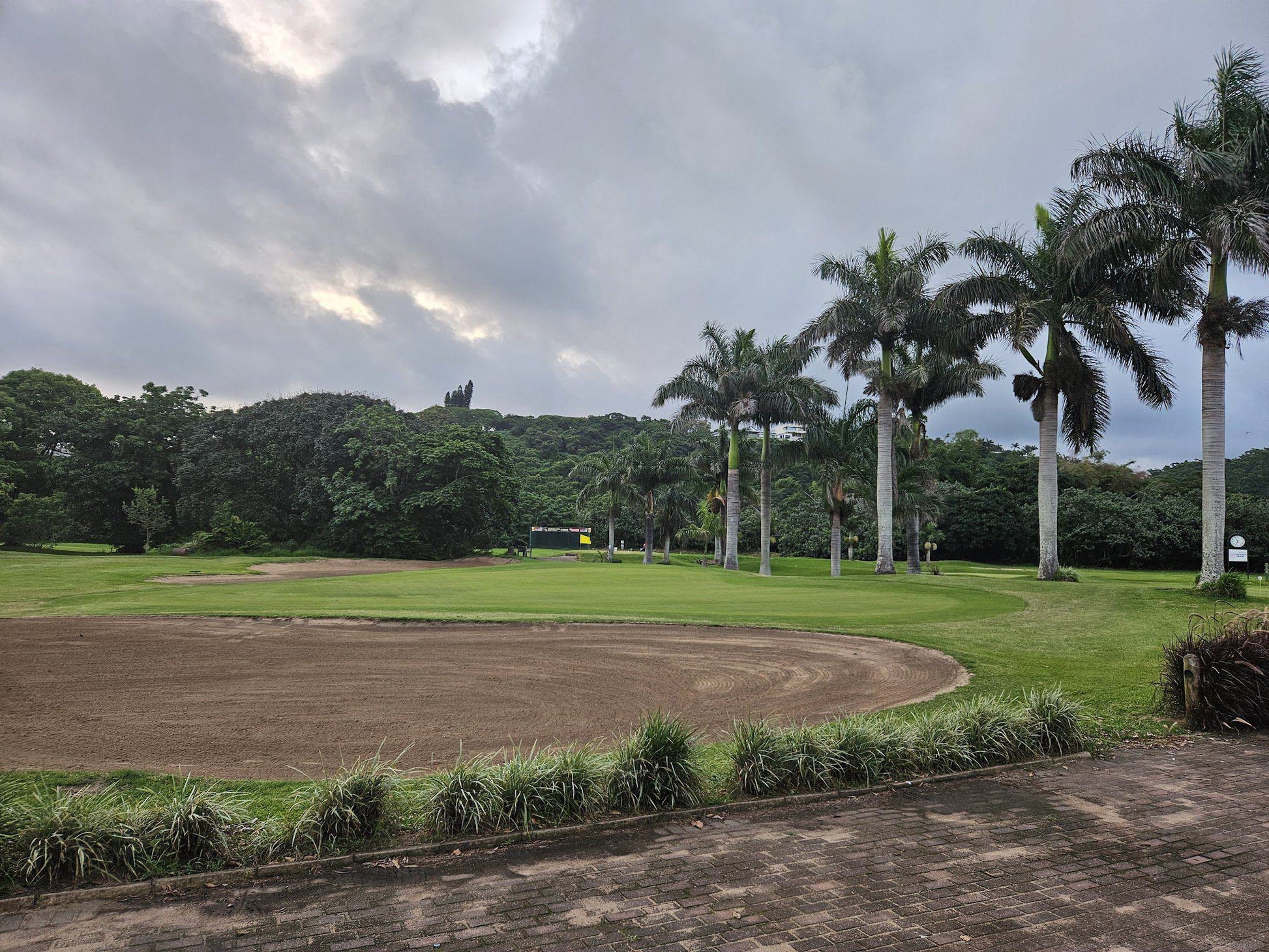 Nature, Ball Game, Sport, Golfing, Palm Tree, Plant, Wood, Port Shepstone Country Club, R102, Umtentweni, Port Shepstone, 4240