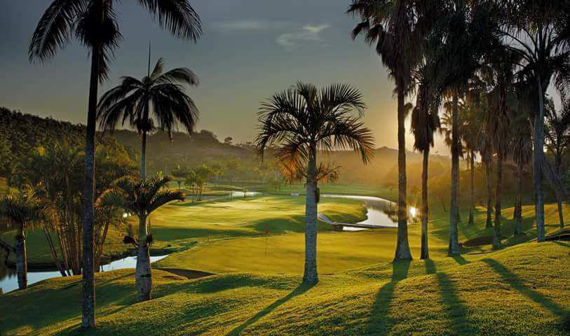 Nature, Ball Game, Sport, Golfing, Palm Tree, Plant, Wood, Port Shepstone Country Club, R102, Umtentweni, Port Shepstone, 4240