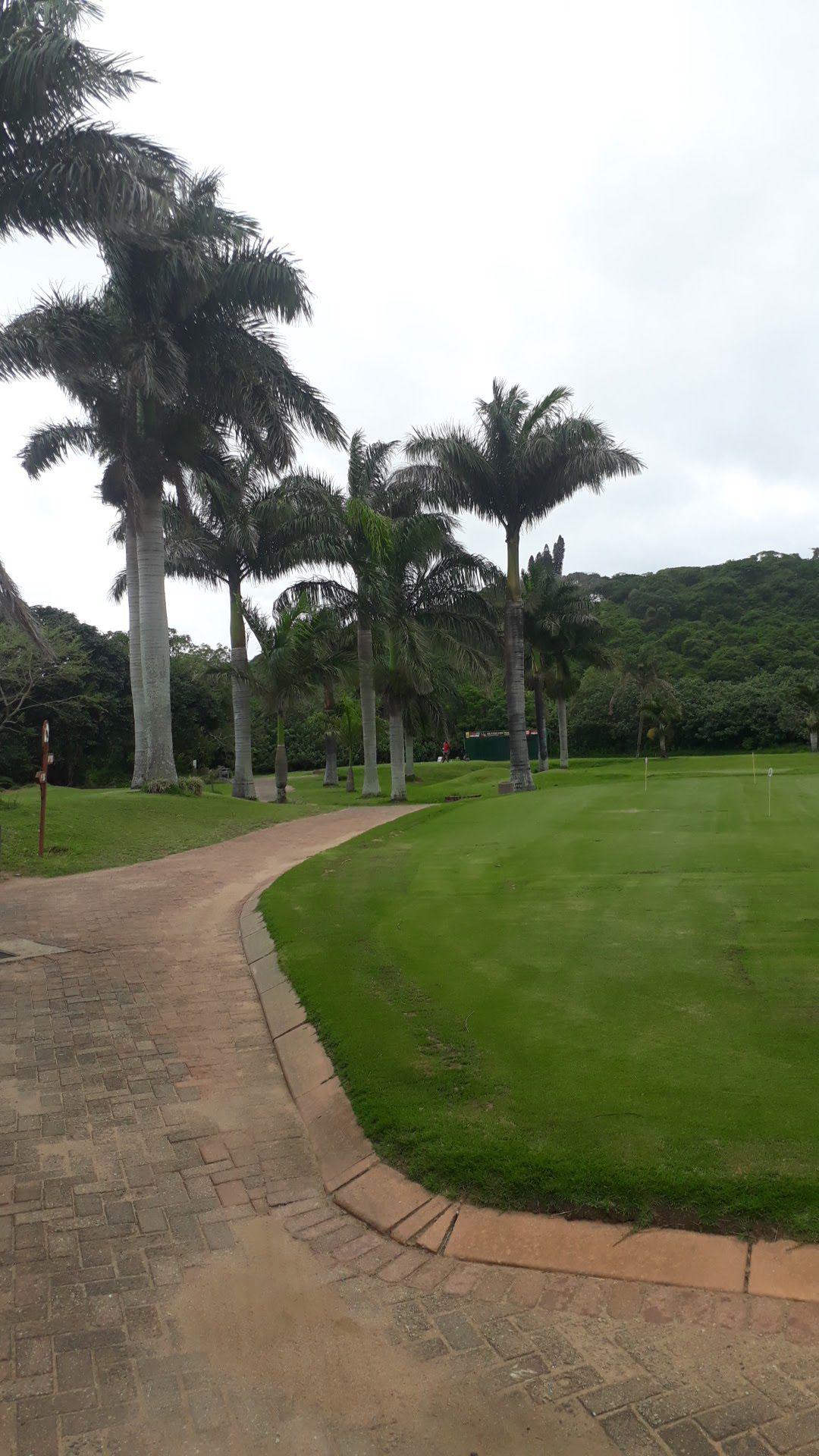 Nature, Ball Game, Sport, Golfing, Palm Tree, Plant, Wood, Port Shepstone Golf Course, Marine Dr, Oslo Beach, Port Shepstone, 4240