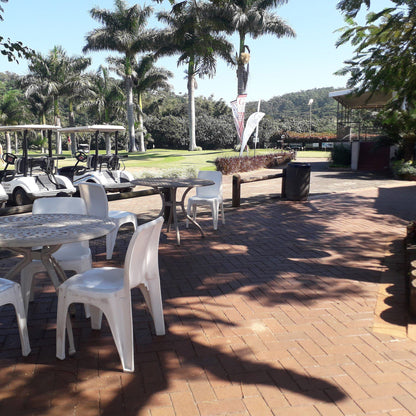 Nature, Ball Game, Sport, Golfing, Palm Tree, Plant, Wood, Port Shepstone Golf Course, Marine Dr, Oslo Beach, Port Shepstone, 4240