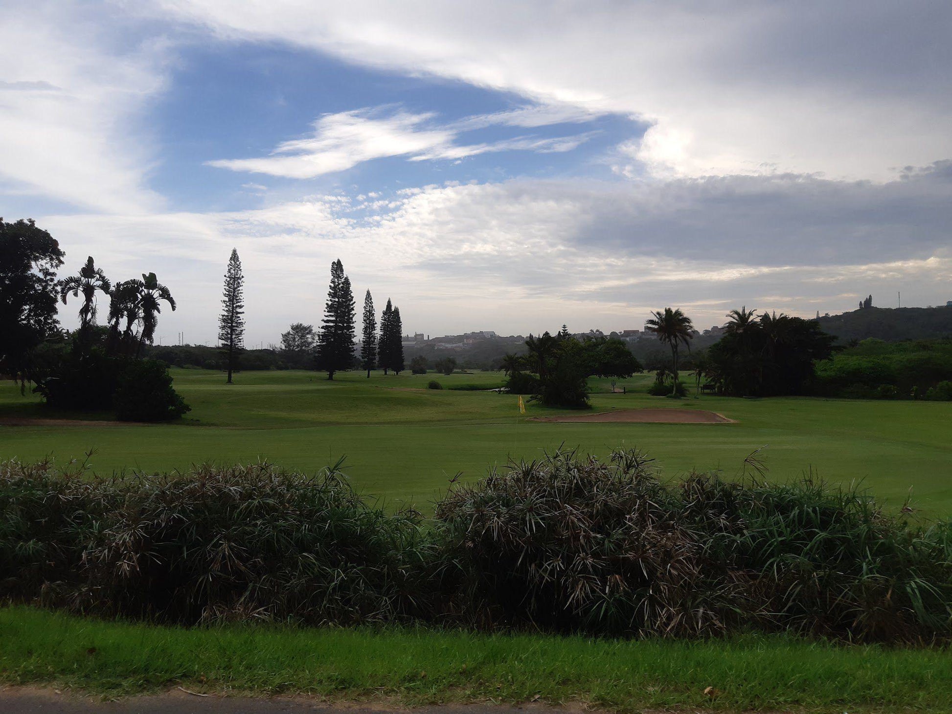 Nature, Ball Game, Sport, Golfing, Palm Tree, Plant, Wood, Port Shepstone Golf Course, Marine Dr, Oslo Beach, Port Shepstone, 4240