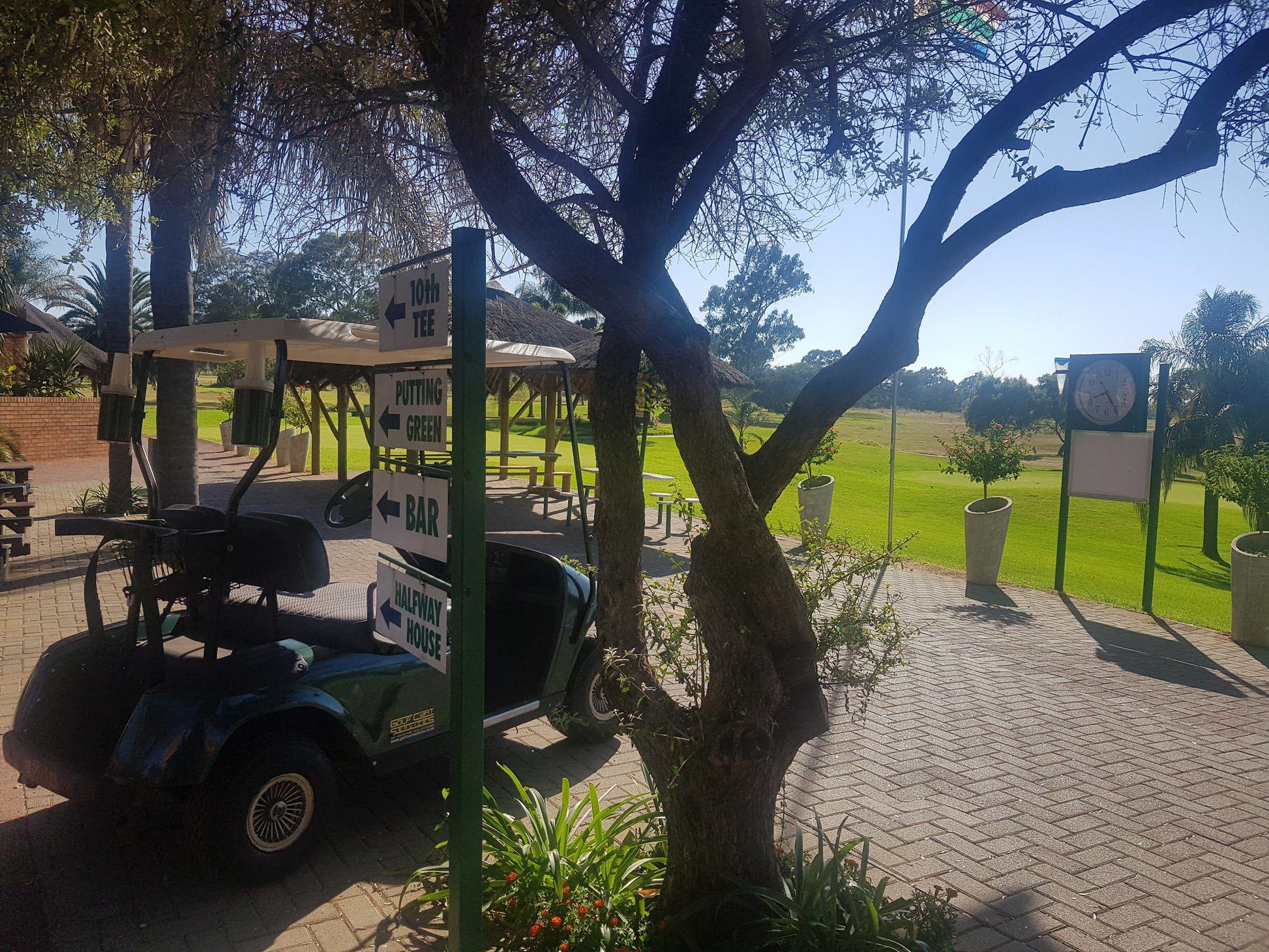 Nature, Ball Game, Sport, Golfing, Palm Tree, Plant, Wood, Pretoria Golf Club, Morkel St E, Philip Nel Park, Pretoria, 0029