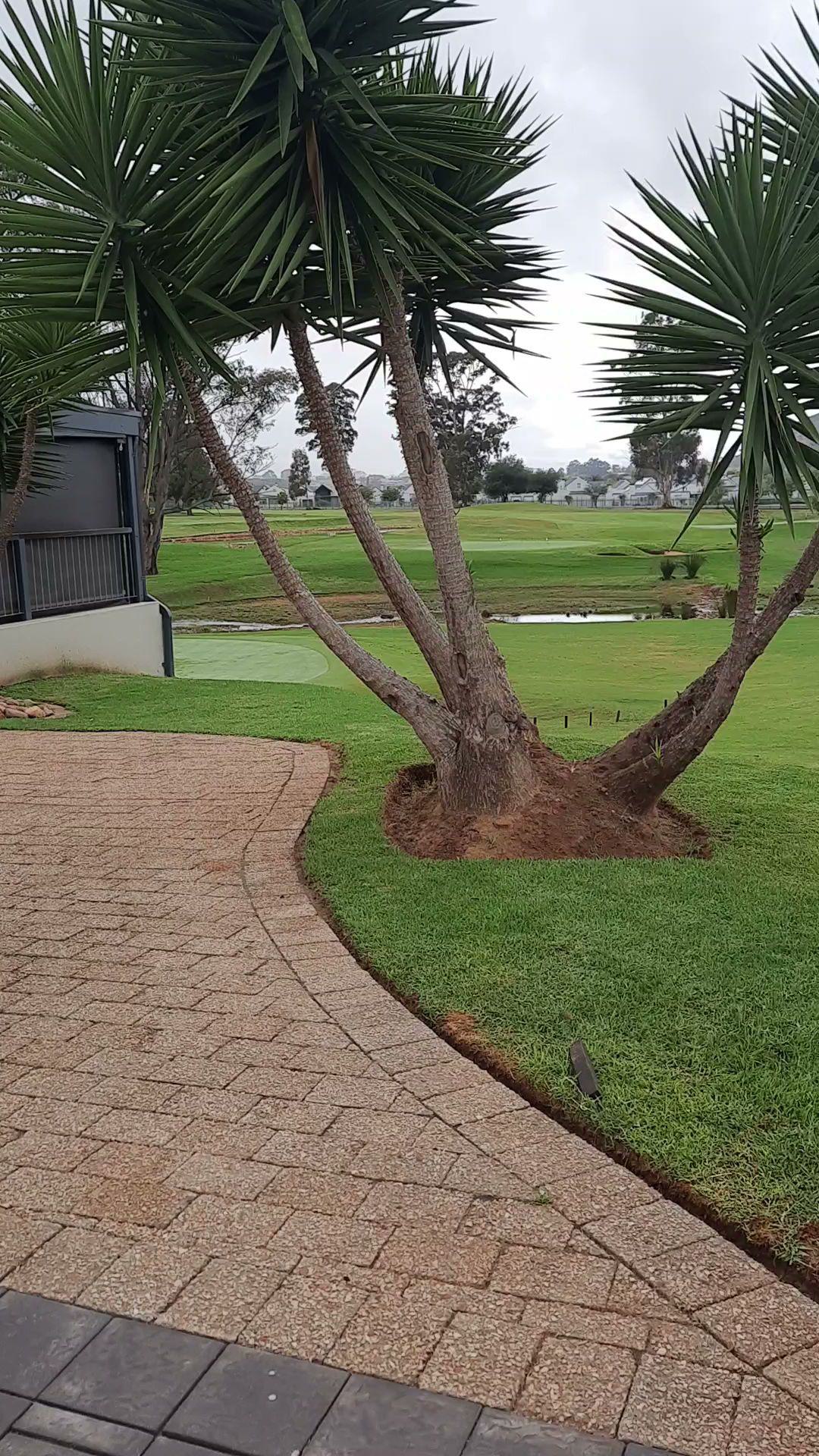 Nature, Ball Game, Sport, Golfing, Palm Tree, Plant, Wood, Robertson Golf Club, Silwerstrand Golf and River Estate, Robertson, 6705