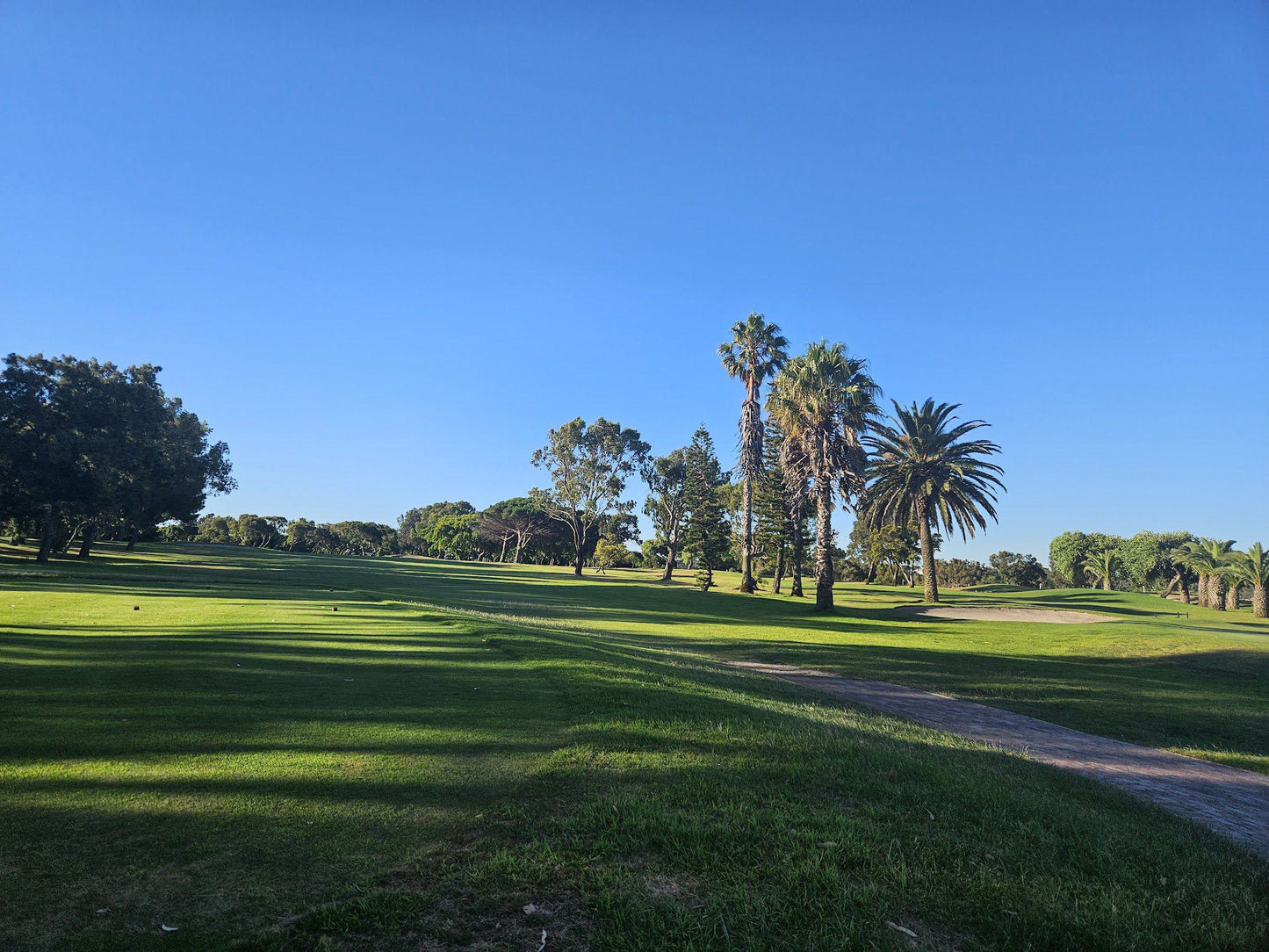 Nature, Ball Game, Sport, Golfing, Palm Tree, Plant, Wood, Rondebosch Golf Club, Cnr Access Road, Golf Course Rd, Mowbray, Cape Town, 7700