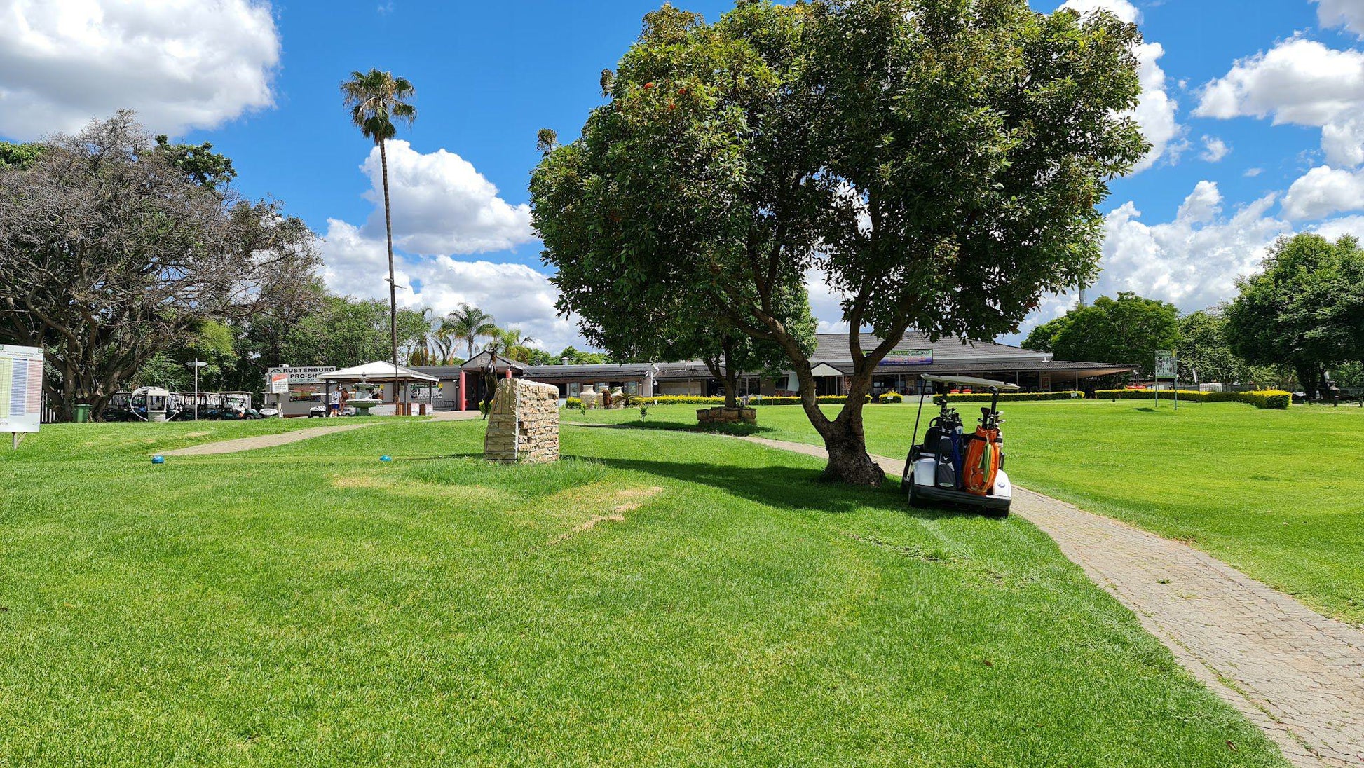 Nature, Ball Game, Sport, Golfing, Palm Tree, Plant, Wood, Rustenburg Golf Course, Bethlehem St, Rustenburg, 2999