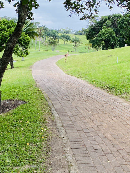 Nature, Ball Game, Sport, Golfing, Palm Tree, Plant, Wood, San Lameer Estate San Lameer Vacation, R61, San Lameer, 4281