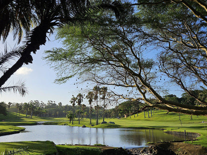 Nature, Ball Game, Sport, Golfing, Palm Tree, Plant, Wood, San Lameer Estate, Unnamed Road, Sanlameer, Southbroom