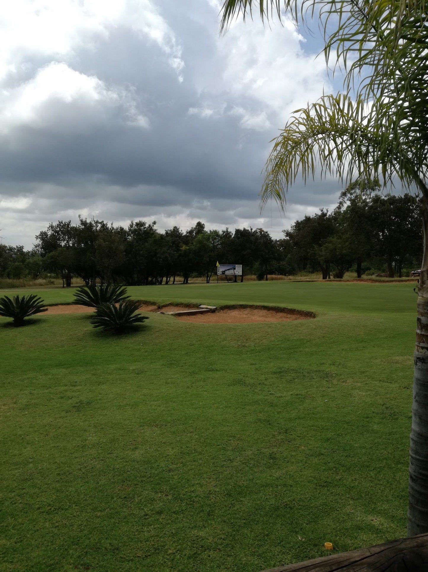 Nature, Ball Game, Sport, Golfing, Palm Tree, Plant, Wood, Sandonia Golf Club, Pretoria., 23 Reier Rd, Kameeldrift East, Pretoria, 0035