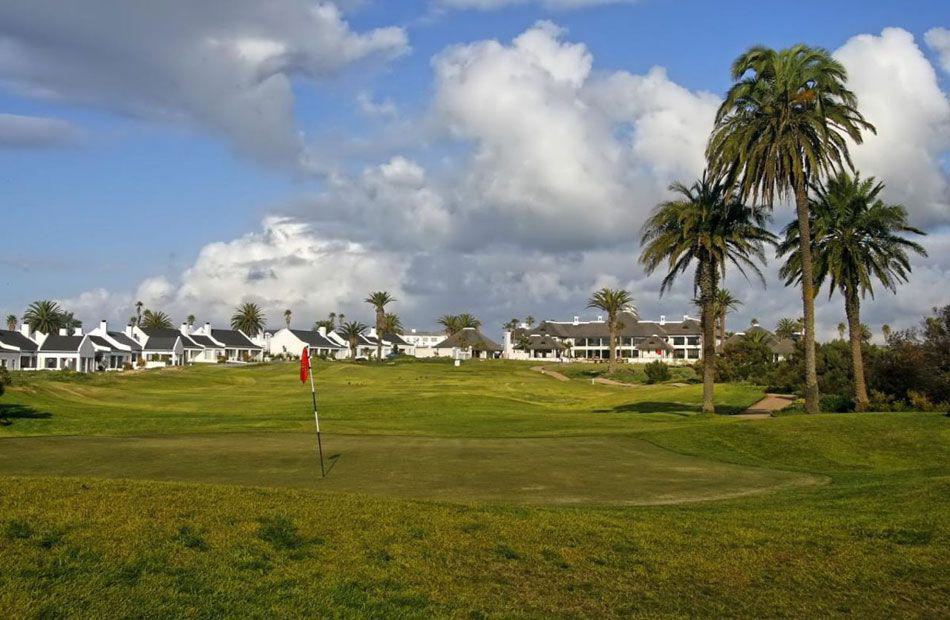 Nature, Ball Game, Sport, Golfing, Palm Tree, Plant, Wood, Shelley Point Golf Club, Golden Boulevard, Shelley Point, St Helena Bay, 7390