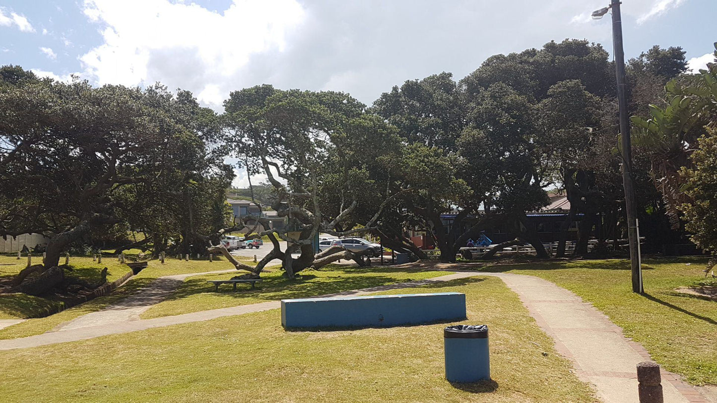 Nature, Ball Game, Sport, Golfing, Palm Tree, Plant, Wood, South Port Anerley Beach, 0