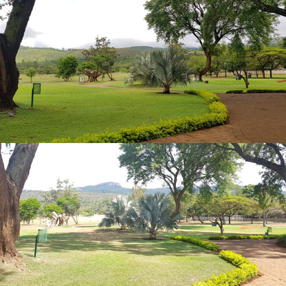 Nature, Ball Game, Sport, Golfing, Palm Tree, Plant, Wood, Soutpansberg Golf Club, Louis Trichardt Memorial Hospital-ER Hospital St, Louis Trichardt, 0920