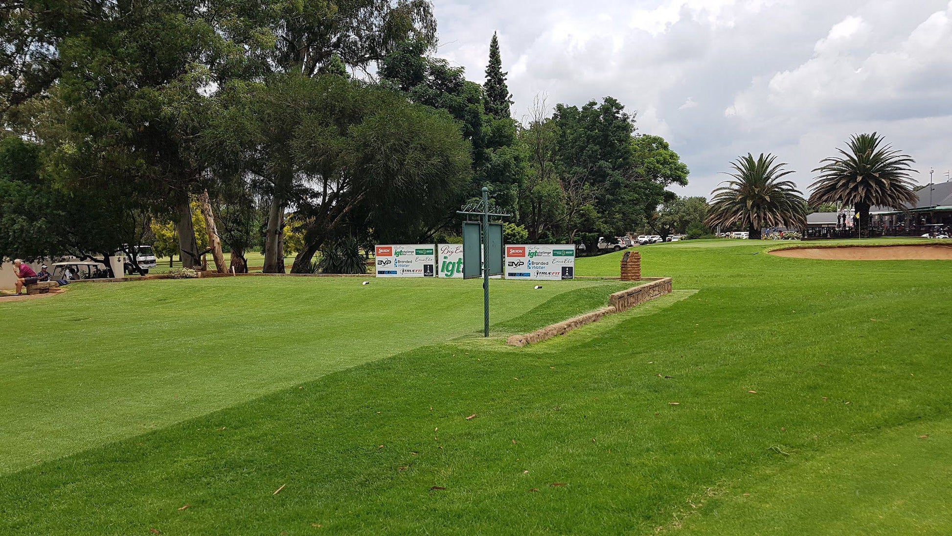 Nature, Ball Game, Sport, Golfing, Palm Tree, Plant, Wood, State Mines Country Club, Hewit St, Gov Gold Mine Areas Cons, Brakpan, 1541