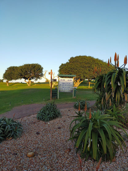 Nature, Ball Game, Sport, Golfing, Palm Tree, Plant, Wood, Stilbaai Golf Club, Arend St, Still Bay West, Still Bay, 6674