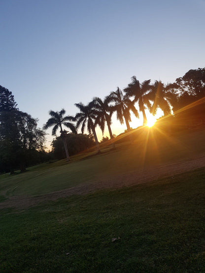 Nature, Ball Game, Sport, Golfing, Palm Tree, Plant, Wood, Sunset, Sky, Windsor Park Golf Course, Stamford Hill, Durban, 4025