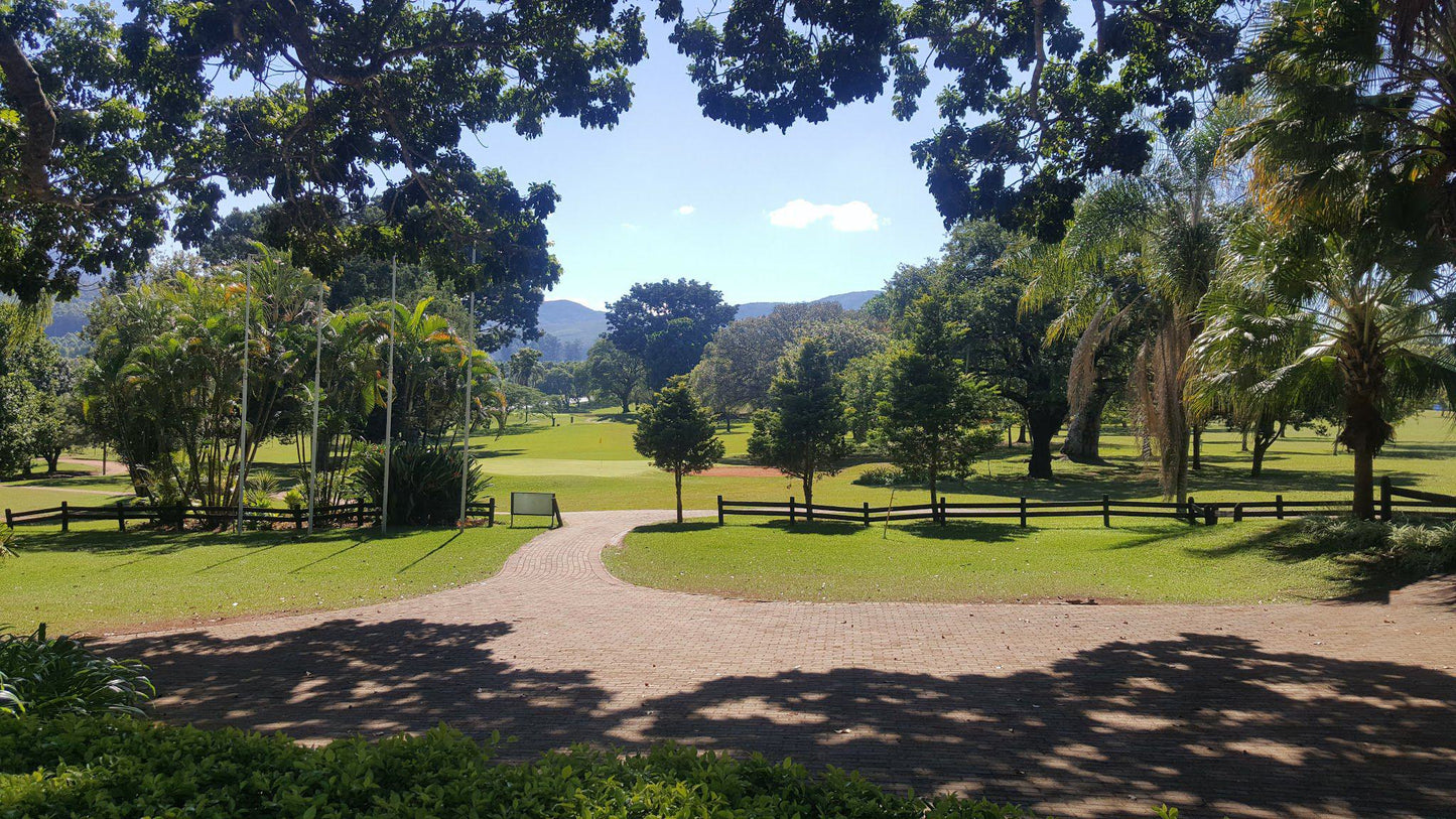 Nature, Ball Game, Sport, Golfing, Palm Tree, Plant, Wood, Tzaneen Country Club, R36 Between Tzaneen and Duiwelskloof, Tzaneen