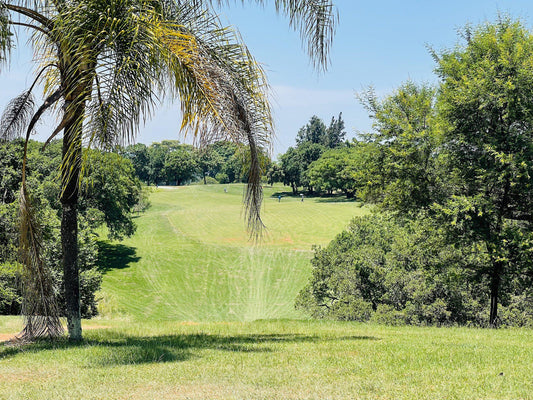 Nature, Ball Game, Sport, Golfing, Palm Tree, Plant, Wood, Tzaneen Country Club, R36 Between Tzaneen and Duiwelskloof, Tzaneen