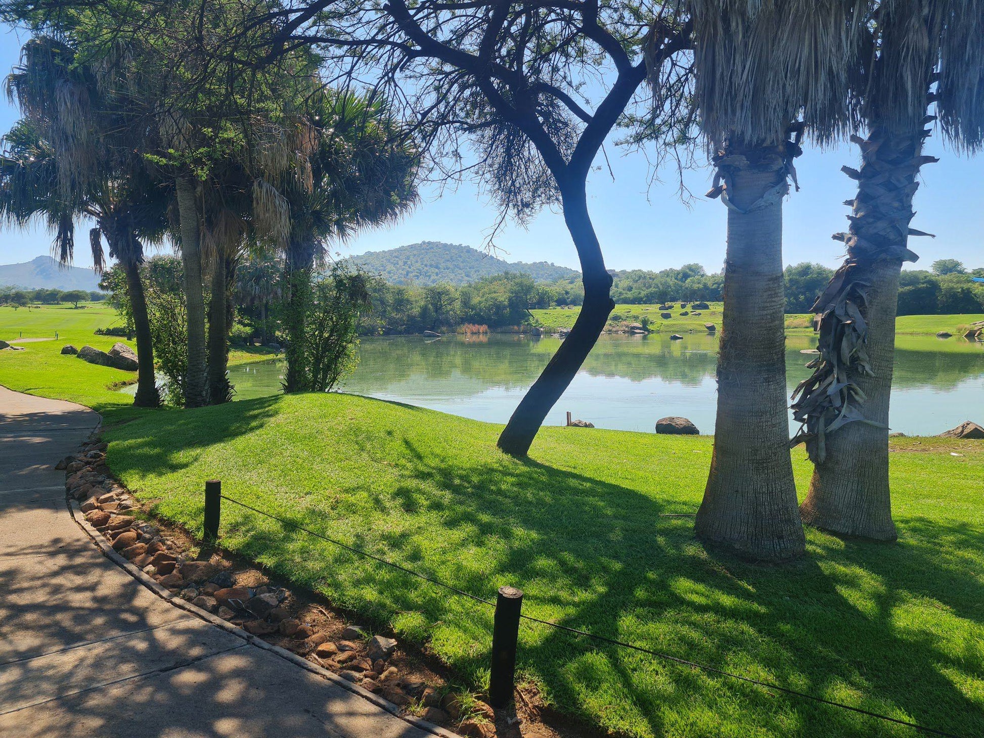 Nature, Ball Game, Sport, Golfing, Palm Tree, Plant, Wood, Waters, River, Lost City Golf Course, Sun City