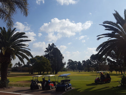 Nature, Ball Game, Sport, Golfing, Palm Tree, Plant, Wood, Witbank Golf Club, 2 Lukin St, Witbank, Emalahleni, 1035