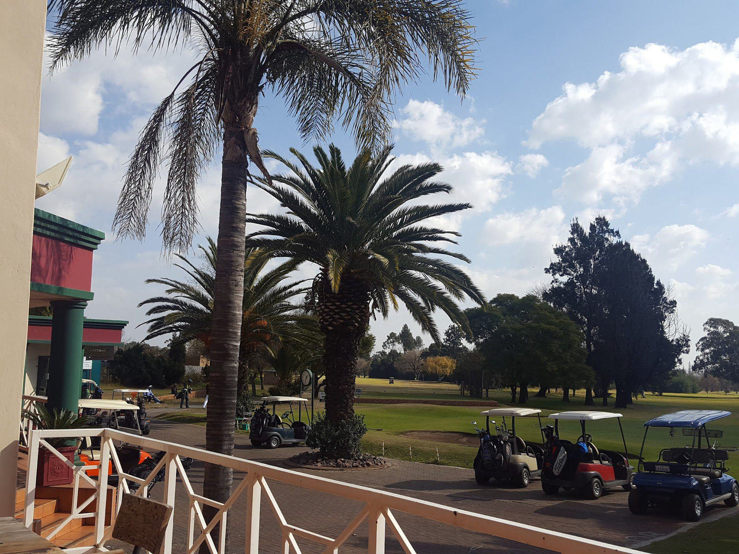 Nature, Ball Game, Sport, Golfing, Palm Tree, Plant, Wood, Witbank Golf Club, 2 Lukin St, Witbank, Emalahleni, 1035