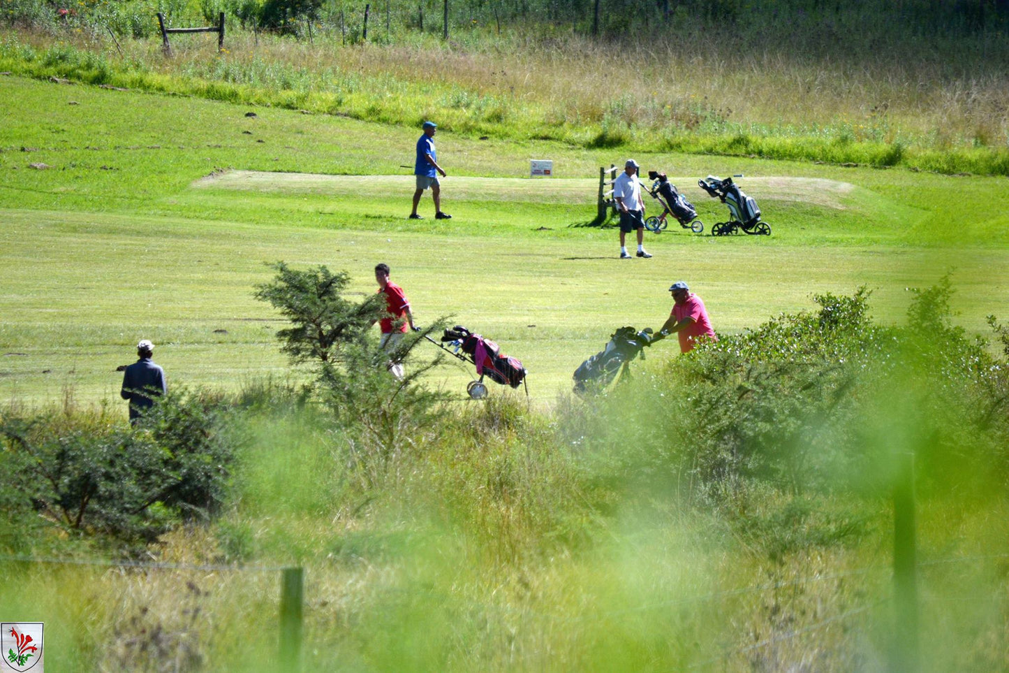 Nature, Ball Game, Sport, Golfing, Person, Ball, Field, Agriculture, Meadow, Komga Sports & Golf Club, 7 Main St W, Komga, 4950