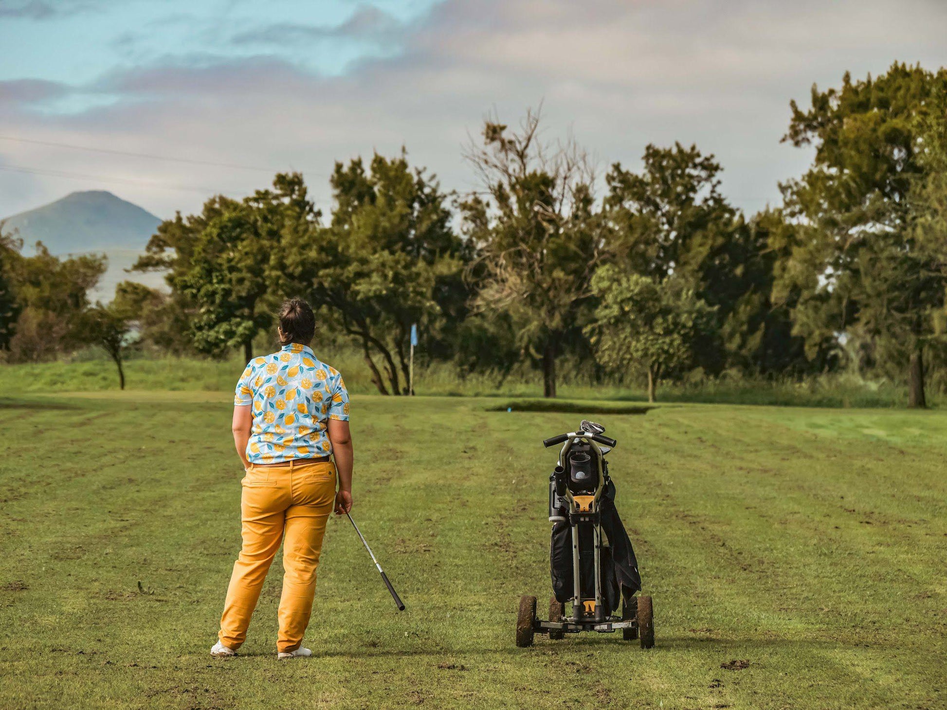 Nature, Ball Game, Sport, Golfing, Person, Field, Agriculture, Darling Sport, Bowls and Golf Club, Jakaranda St, Darling, 7345