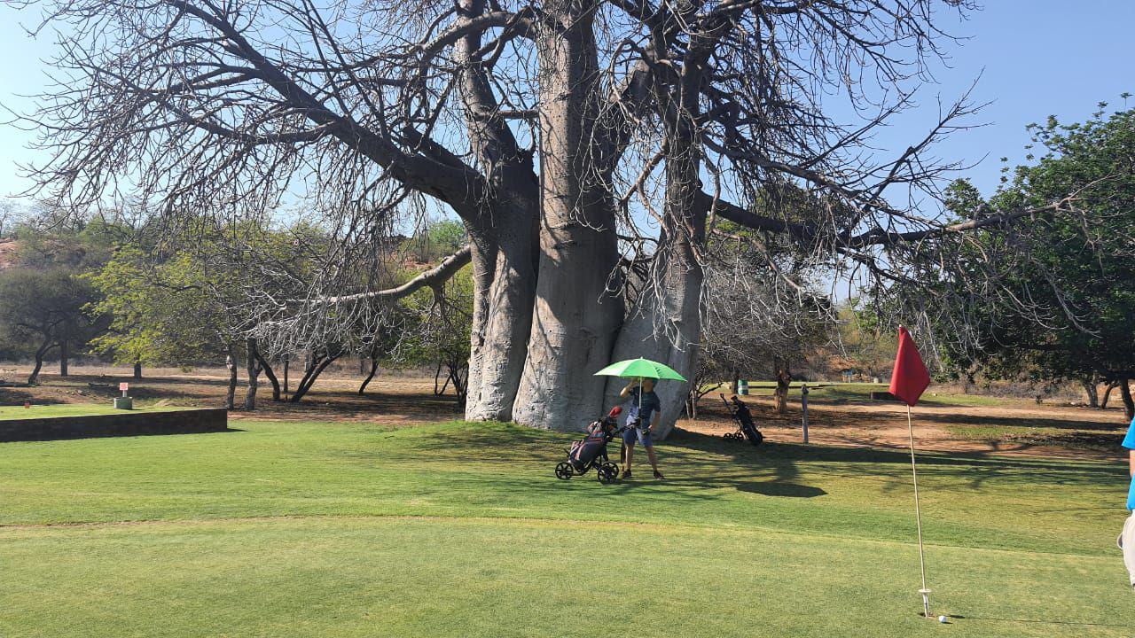 Nature, Ball Game, Sport, Golfing, Person, Messina Golf Club, Limpopo Ave, Musina, 0900