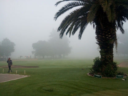 Nature, Ball Game, Sport, Golfing, Person, Palm Tree, Plant, Wood, Fog, Rain, Witbank Golf Club, 2 Lukin St, Witbank, Emalahleni, 1035