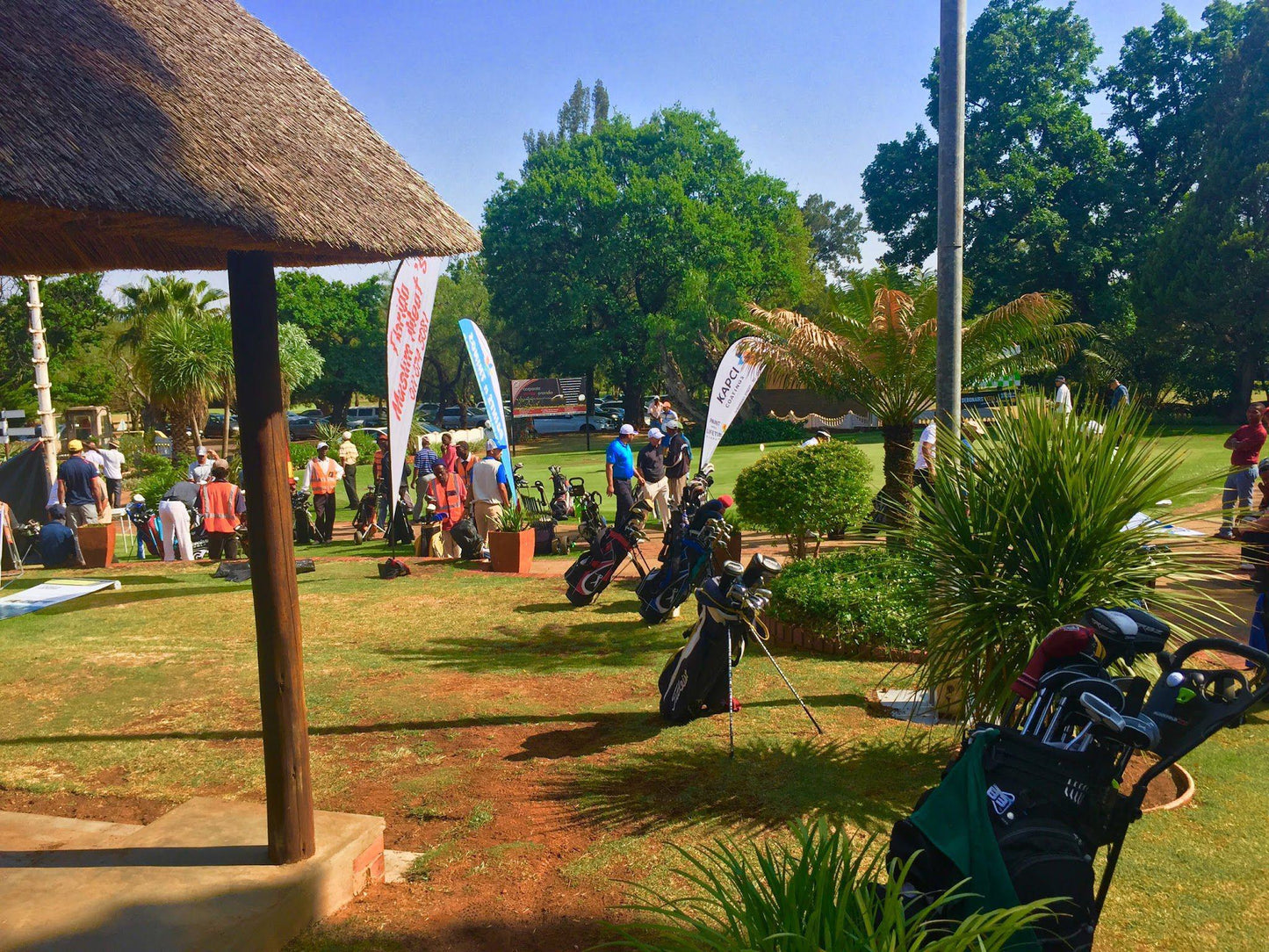 Nature, Ball Game, Sport, Golfing, Person, Palm Tree, Plant, Wood, Goldfields West Private Golf Club, 118, Farm Driefontein Gold Mines, Carletonville, 2499