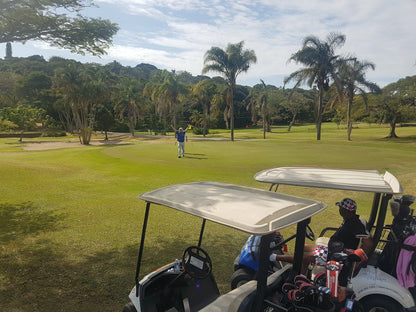 Nature, Ball Game, Sport, Golfing, Person, Palm Tree, Plant, Wood, Port Shepstone Country Club, R102, Umtentweni, Port Shepstone, 4240