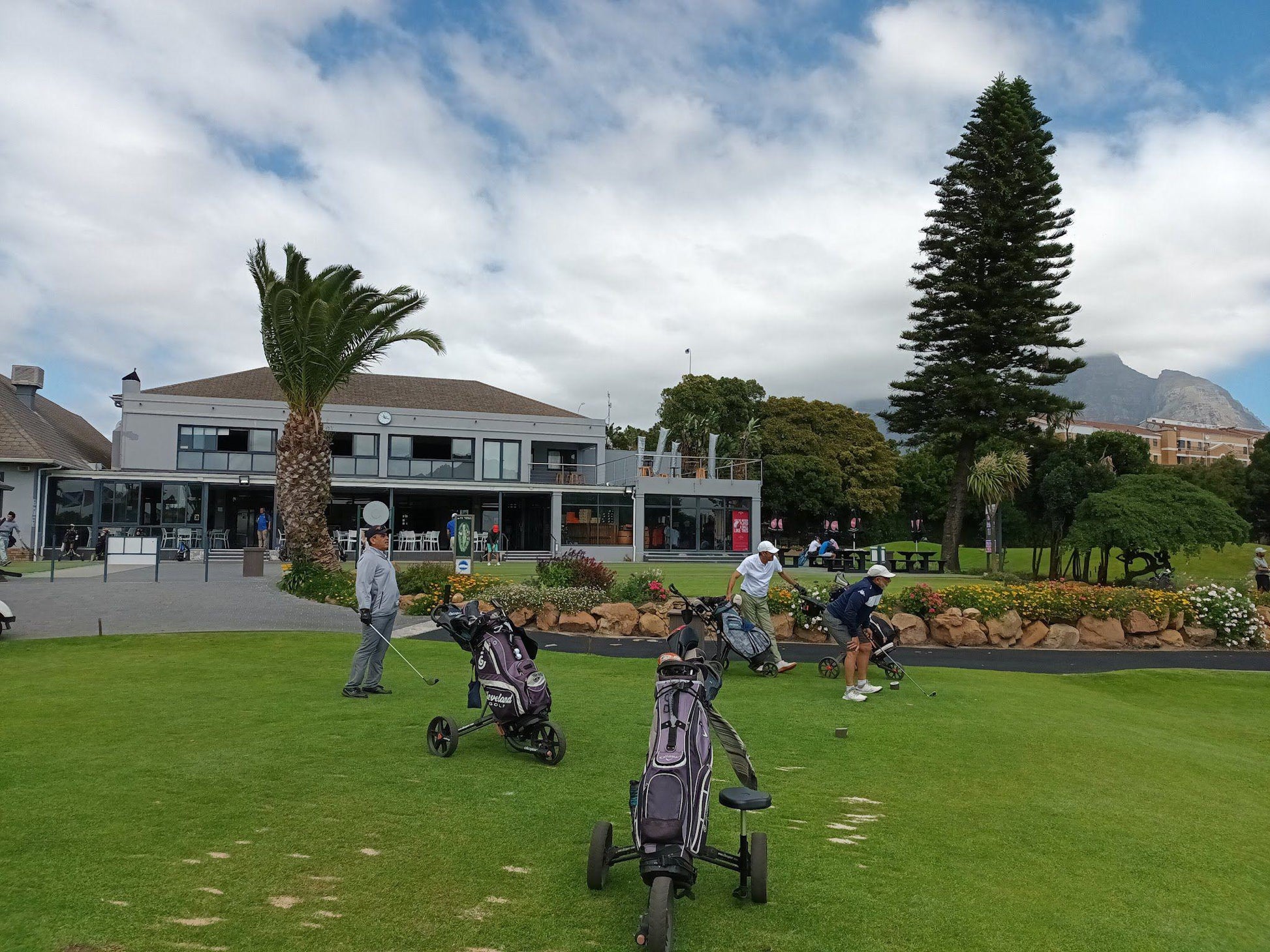 Nature, Ball Game, Sport, Golfing, Person, Palm Tree, Plant, Wood, Rondebosch Golf Club, Cnr Access Road, Golf Course Rd, Mowbray, Cape Town, 7700