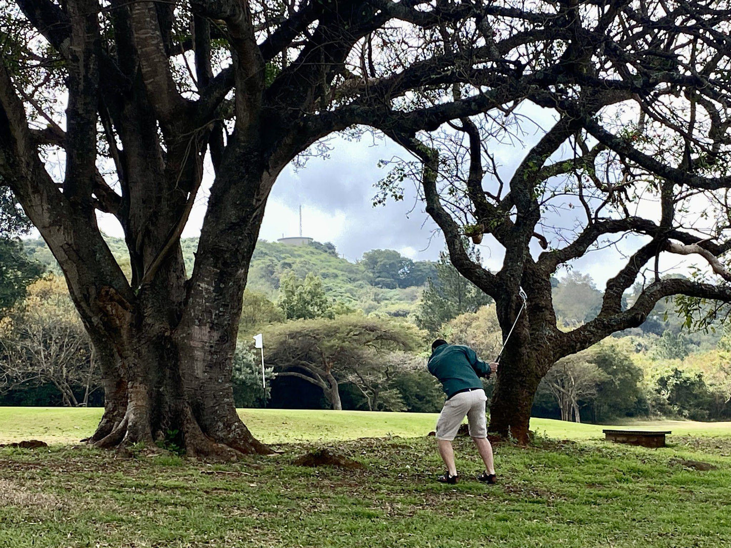 Nature, Ball Game, Sport, Golfing, Person, Plant, Wood, Forest, Tree, Soutpansberg Golf Club, Louis Trichardt Memorial Hospital-ER Hospital St, Louis Trichardt, 0920