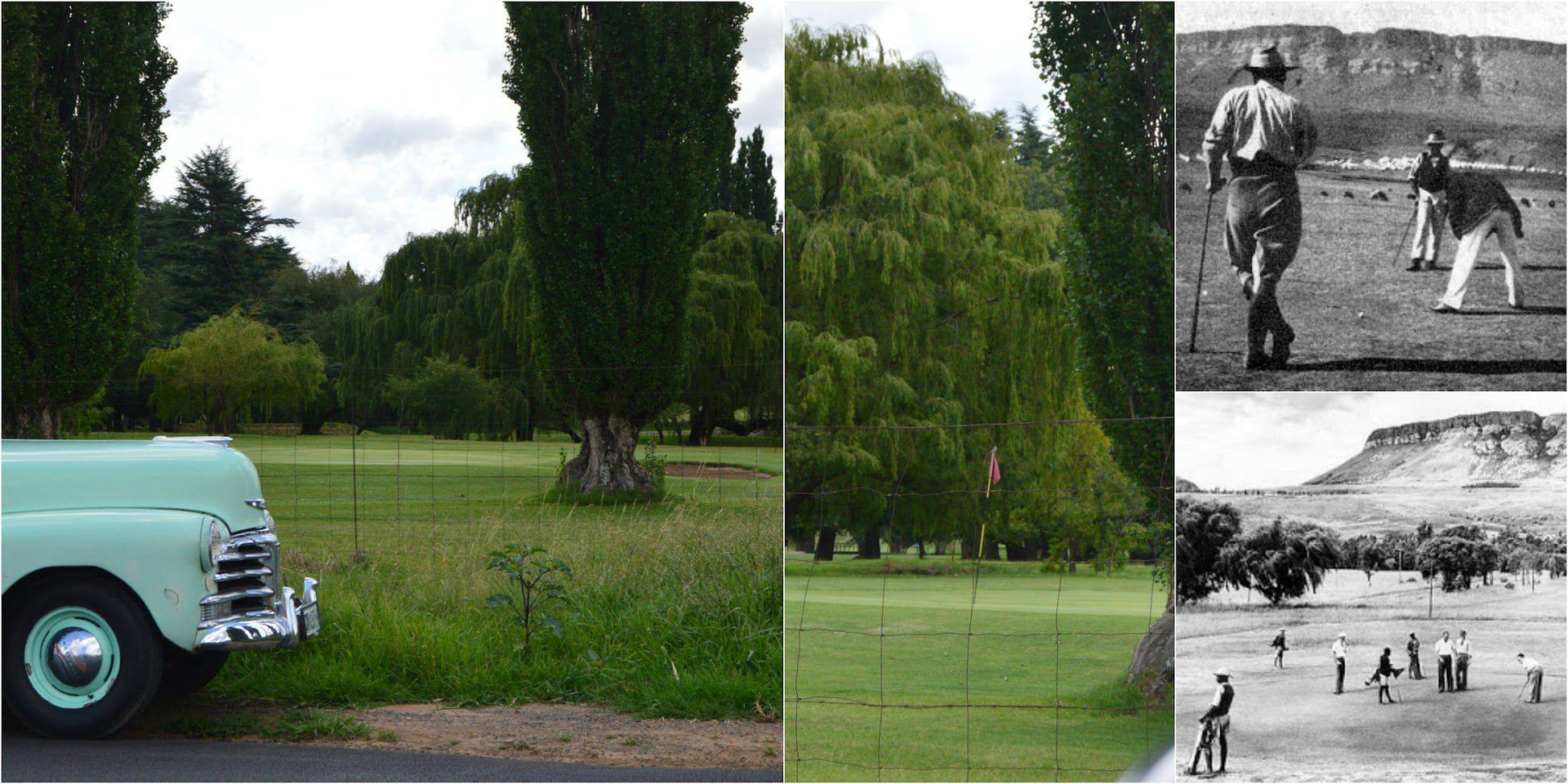 Nature, Ball Game, Sport, Golfing, Person, Plant, Wood, Tree, Harrismith Golf Club, 1 Laksman St, Harrismith, 9880