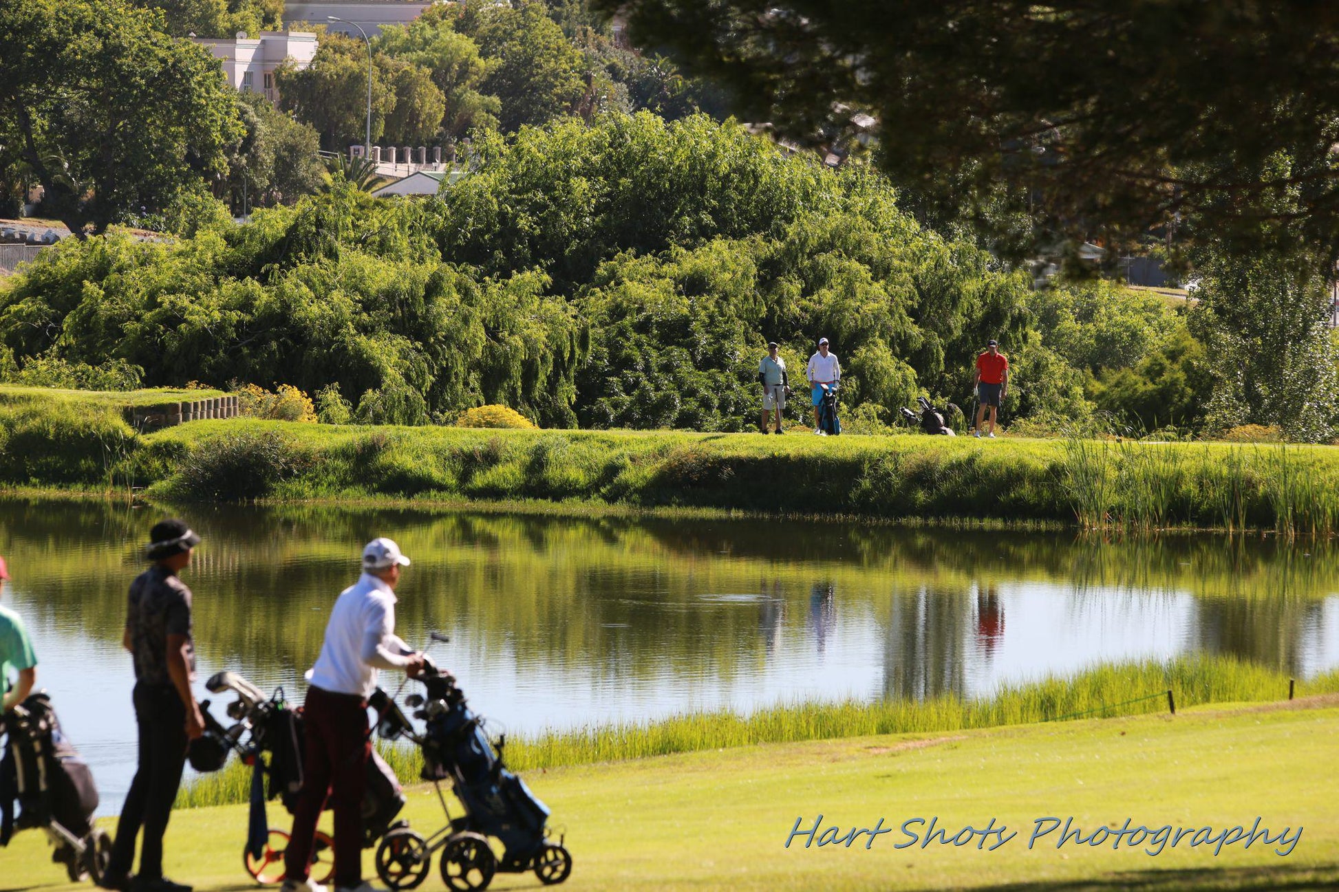 Nature, Ball Game, Sport, Golfing, Person, Waters, River, Bellville Golf Club, Jip De Jager Dr, Welgemoed, Cape Town, 7538