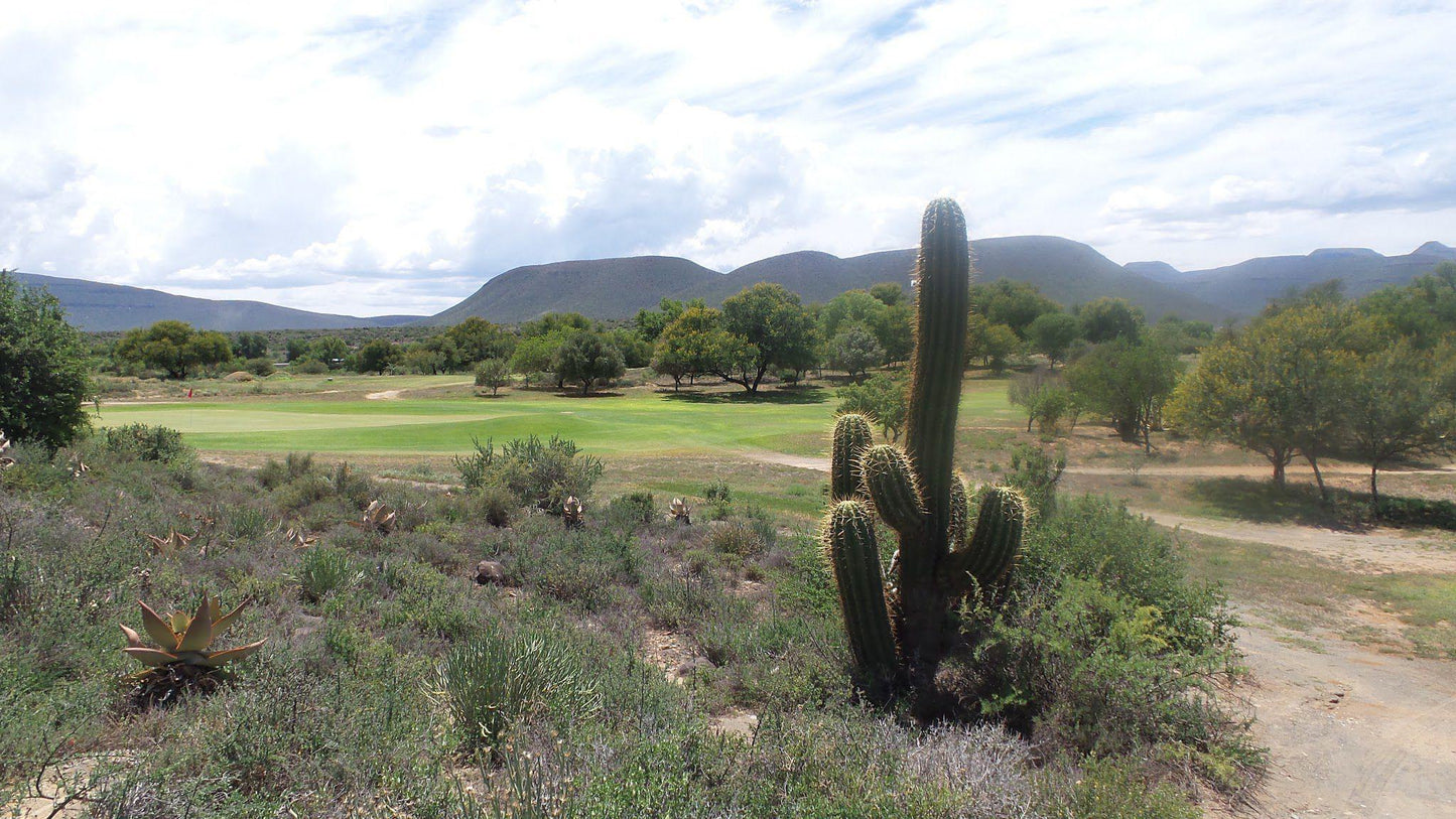 Nature, Ball Game, Sport, Golfing, Plant, Cactus, Graaff-Reinet Golf Club, Alberdeen rd Adendorp, Graaff-Reinet, 6280