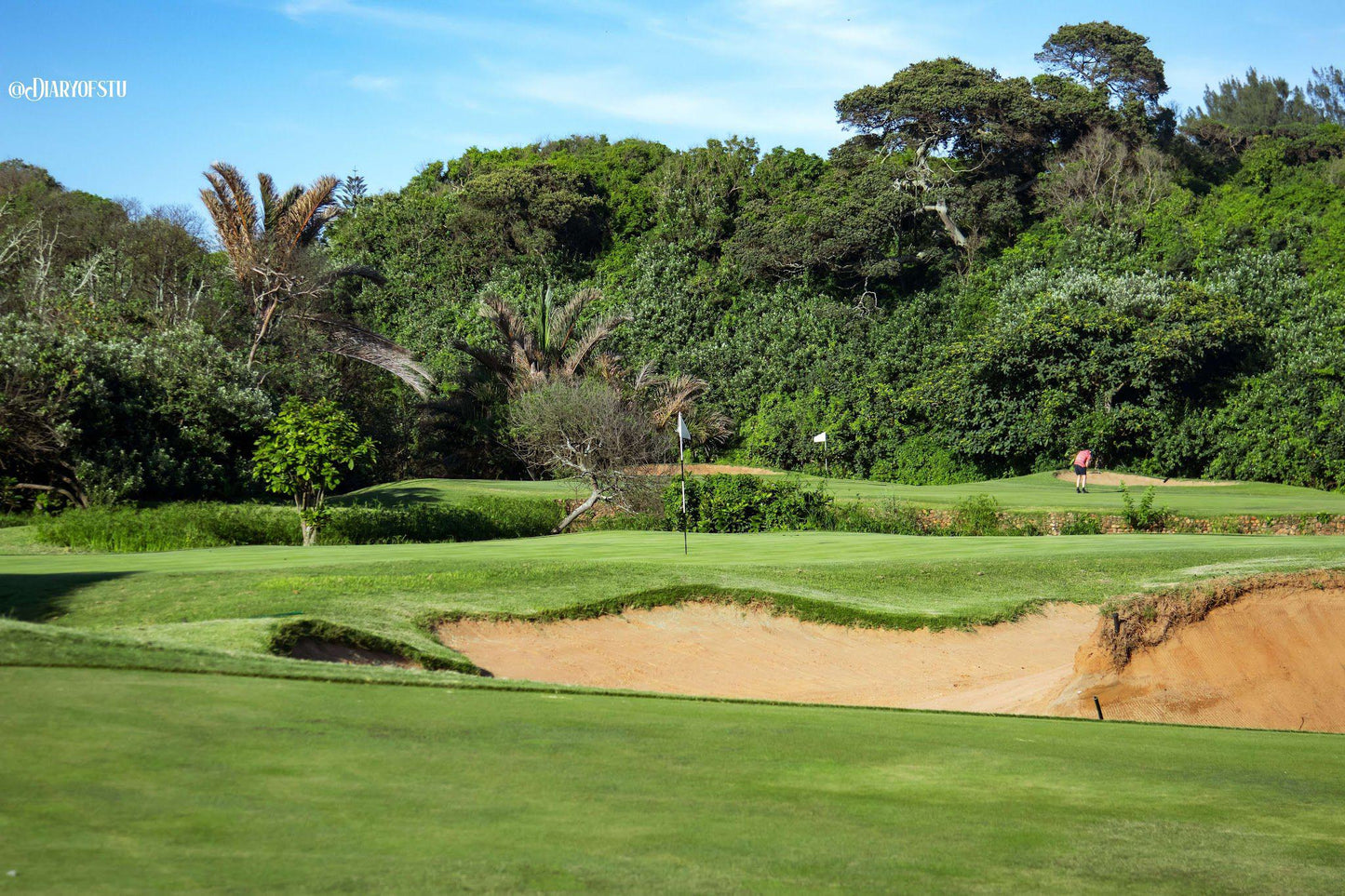 Nature, Ball Game, Sport, Golfing, Plant, Garden, Beachwood Course, 20 Beachwood Pl, Beachwood, Durban North, 4051