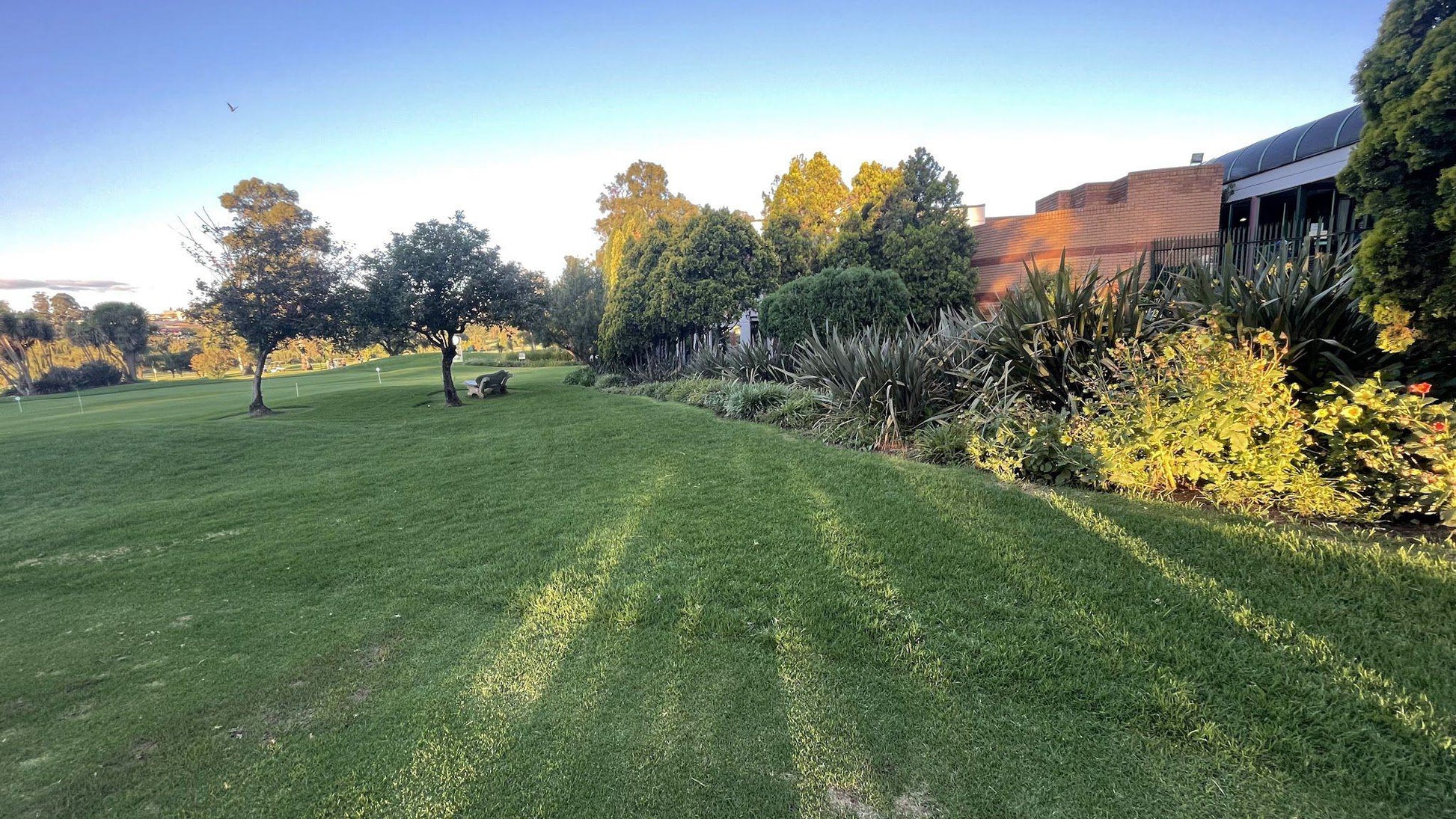 Nature, Ball Game, Sport, Golfing, Plant, Garden, C M R Golf Club, 300 Spencer Rd, Maraisburg, Randburg, 1700