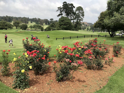 Nature, Ball Game, Sport, Golfing, Plant, Garden, C M R Golf Club, 300 Spencer Rd, Maraisburg, Randburg, 1700