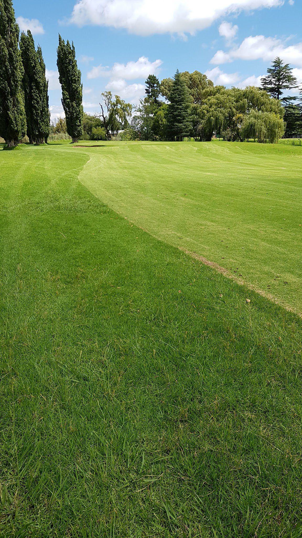 Nature, Ball Game, Sport, Golfing, Plant, Garden, Field, Agriculture, Harrismith Golf Club, 1 Laksman St, Harrismith, 9880