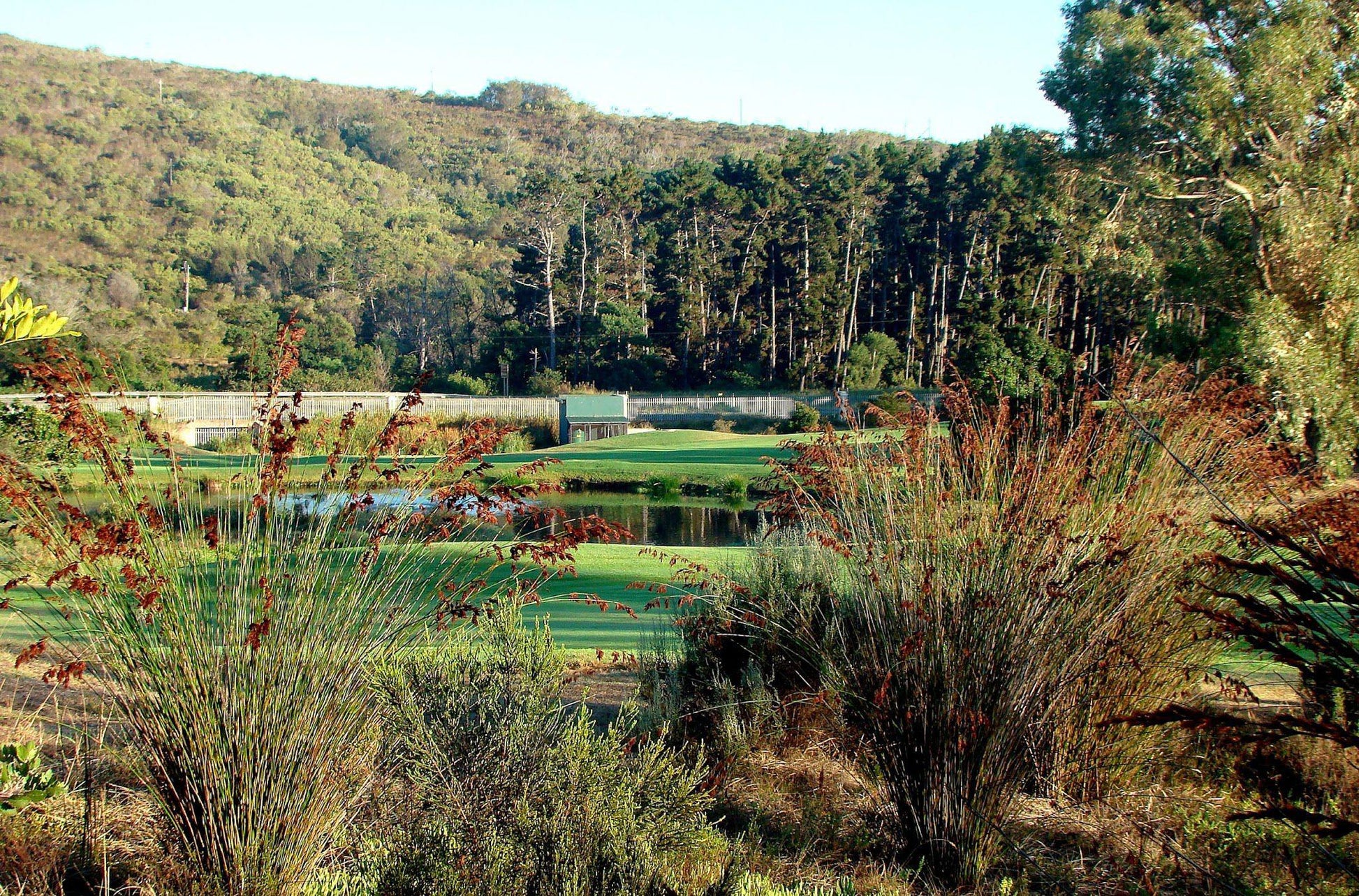 Nature, Ball Game, Sport, Golfing, Plant, Garden, Goose Valley Golf Club, N2, Goose Valley Golf Estate, Plettenberg Bay, 6600